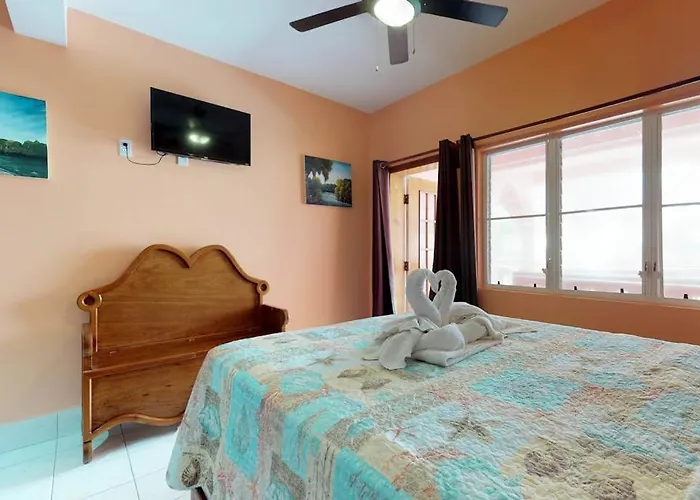 Caribbean Lily @ Caribe Island * San Pedro (Ambergris Caye)